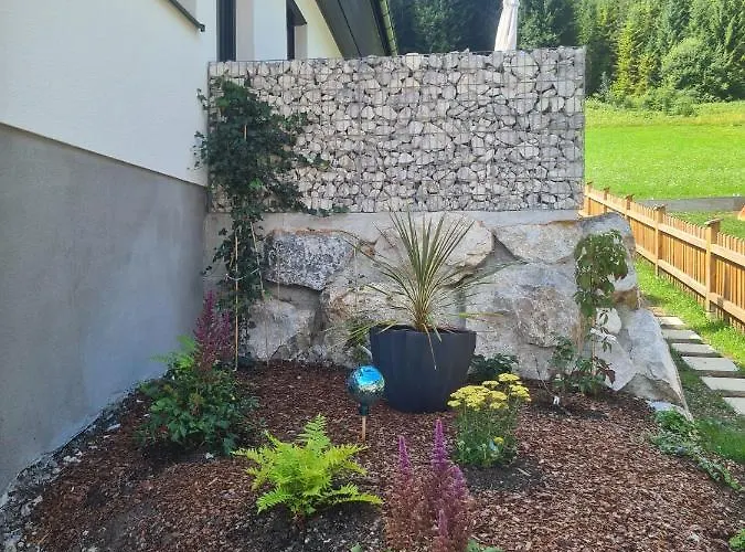 Bubendorfer 莱尔莫斯